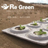 Re Green　砂漠化を防ぐ、みどりの堤防培養機能を有するパルプモールド・カプセルシート 1