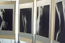 多摩美術大学 卒展特集2001 (2000年度)