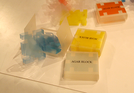 AGAR BLOCK / 今井一徳 / 東京造形大学 造形学部 デザイン学科 インダストリアルデザイン専攻