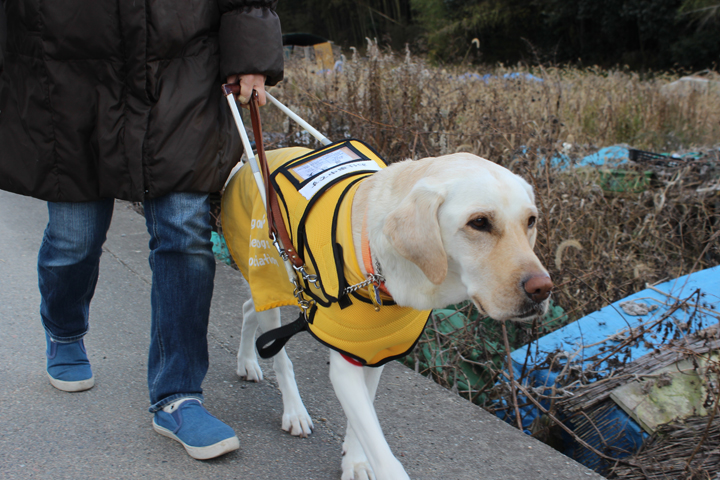 guidebag　― 盲導犬とユーザーのためのハーネス一体型ドッグバッグ ―