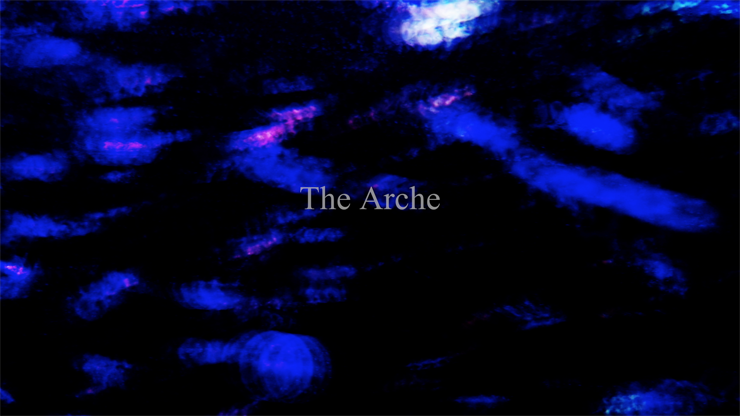 The Arche